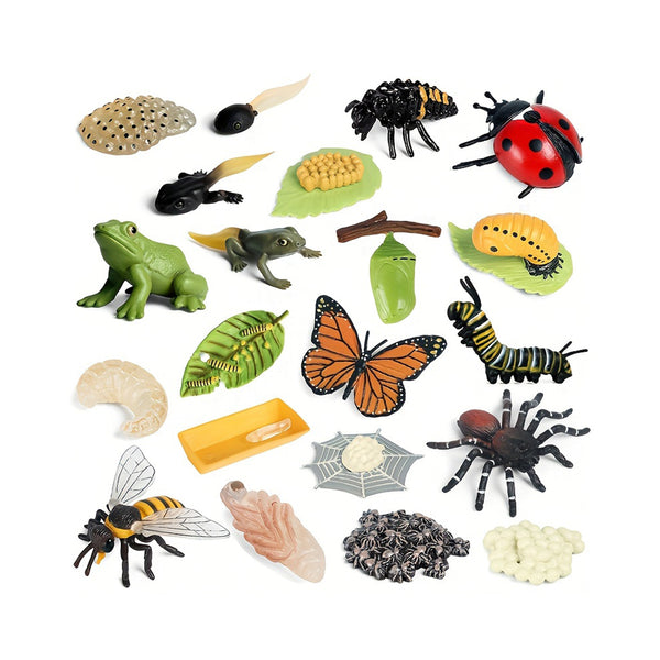 Animals Life Growth Cycle Kids Montessori Education Moth Snail Mosquito Locust Model Action Figures Set Cute Cognitive Toy ,Halloween,Christmas, and Thanksgiving Day gift chinaatoday