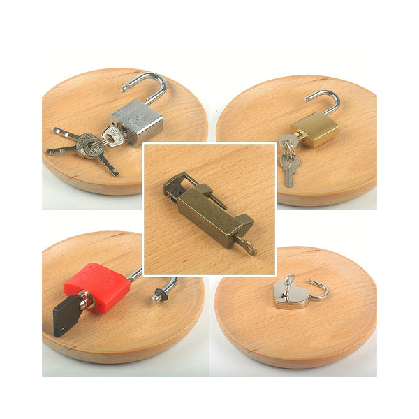 5pcs Montessori Lock and Key Toy Set for Children Learning Activities chinaatoday