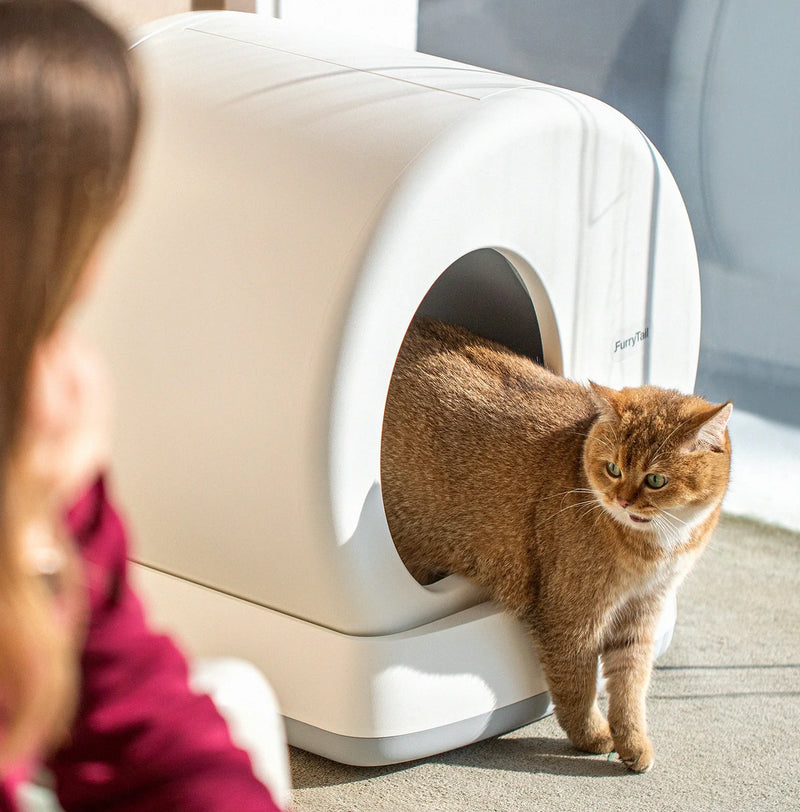 Smart Automatic Cat Litter Box- Self-Cleaning, Odor Isolation with smart control - BEJUSTSIMPLE
