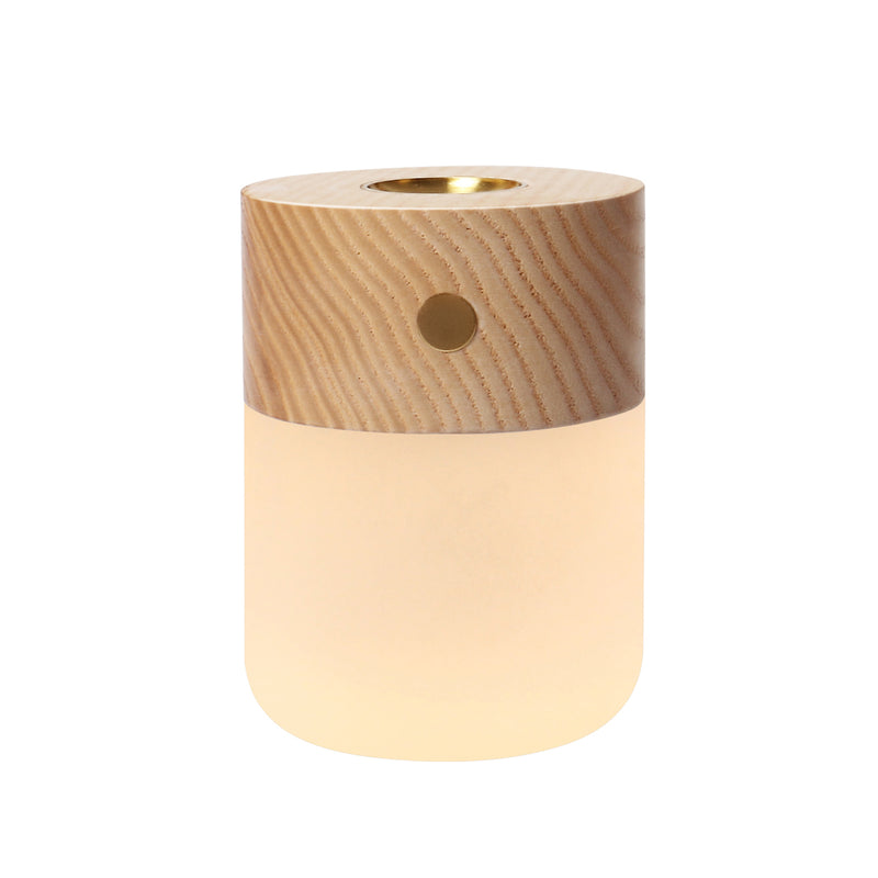 Gingko Design Smart Diffuse Lamp - BEJUSTSIMPLE