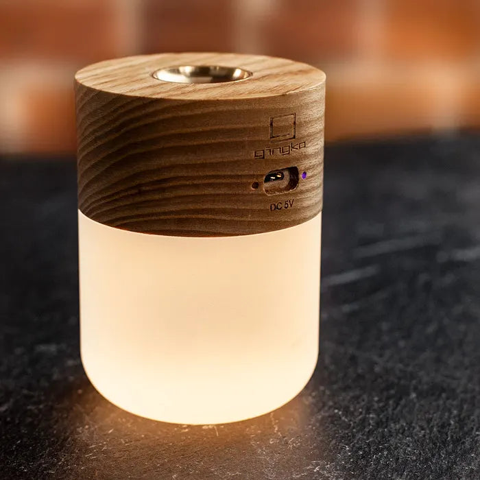Gingko Design Smart Diffuse Lamp - BEJUSTSIMPLE