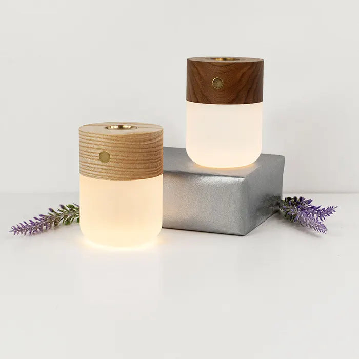 Gingko Design Smart Diffuse Lamp - BEJUSTSIMPLE