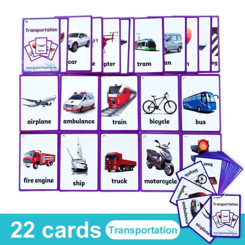 20 Themes Child Learning English Word Cognitive Card Fruit Animal My Body Flash Cards Baby Learning Toy Picture Memorise Games Pocket Card Learning Baby Toys For Children Pre-Kindergarten - Image 24