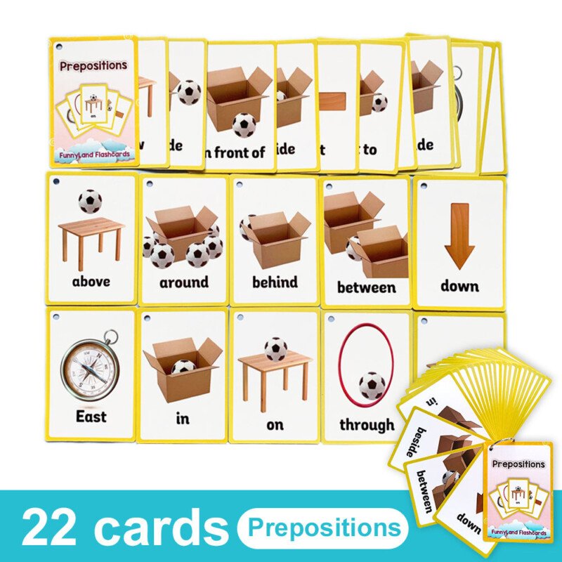 20 Themes Child Learning English Word Cognitive Card Fruit Animal My Body Flash Cards Baby Learning Toy Picture Memorise Games Pocket Card Learning Baby Toys For Children Pre-Kindergarten - Image 16