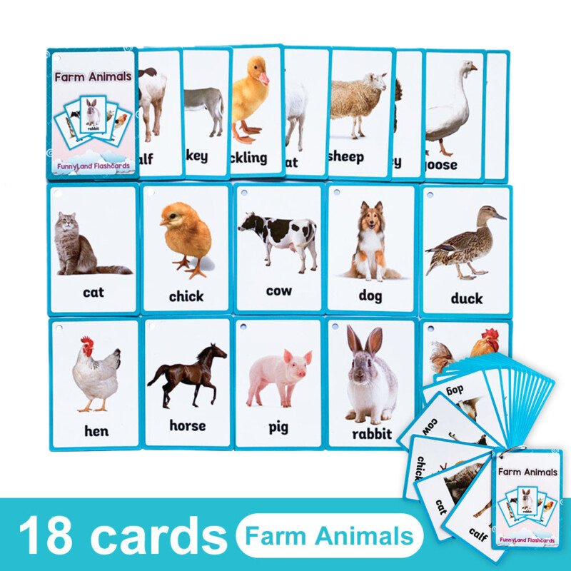 20 Themes Child Learning English Word Cognitive Card Fruit Animal My Body Flash Cards Baby Learning Toy Picture Memorise Games Pocket Card Learning Baby Toys For Children Pre-Kindergarten - Image 14