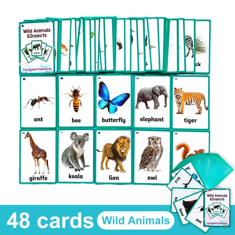 20 Themes Child Learning English Word Cognitive Card Fruit Animal My Body Flash Cards Baby Learning Toy Picture Memorise Games Pocket Card Learning Baby Toys For Children Pre-Kindergarten - Image 10