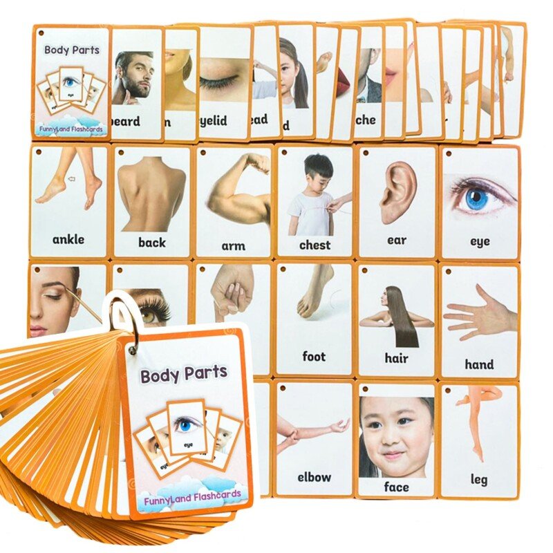 20 Themes Child Learning English Word Cognitive Card Fruit Animal My Body Flash Cards Baby Learning Toy Picture Memorise Games Pocket Card Learning Baby Toys For Children Pre-Kindergarten - Image 9