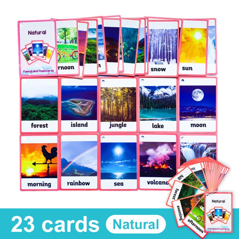 20 Themes Child Learning English Word Cognitive Card Fruit Animal My Body Flash Cards Baby Learning Toy Picture Memorise Games Pocket Card Learning Baby Toys For Children Pre-Kindergarten - Image 28