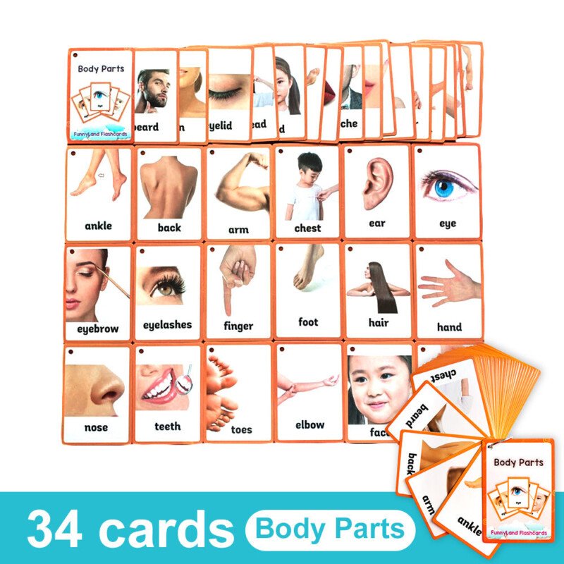 20 Themes Child Learning English Word Cognitive Card Fruit Animal My Body Flash Cards Baby Learning Toy Picture Memorise Games Pocket Card Learning Baby Toys For Children Pre-Kindergarten - Image 11