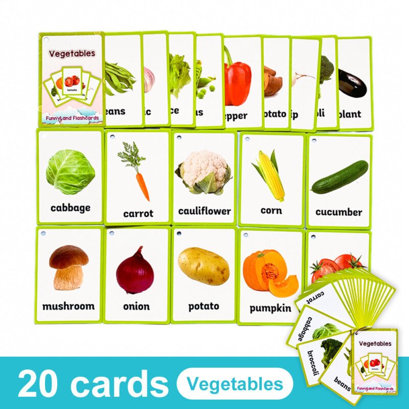 20 Themes Child Learning English Word Cognitive Card Fruit Animal My Body Flash Cards Baby Learning Toy Picture Memorise Games Pocket Card Learning Baby Toys For Children Pre-Kindergarten - Image 23