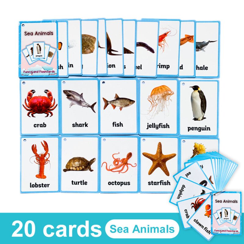 20 Themes Child Learning English Word Cognitive Card Fruit Animal My Body Flash Cards Baby Learning Toy Picture Memorise Games Pocket Card Learning Baby Toys For Children Pre-Kindergarten - Image 18