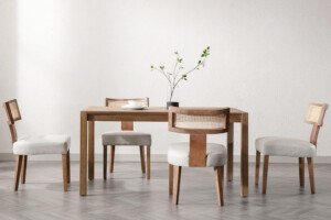 Discover-the-Perfect-Blend-of-Elegance-and-Comfort-Dining-Chairs-for-Your-Home BEJUSTSIMPLE