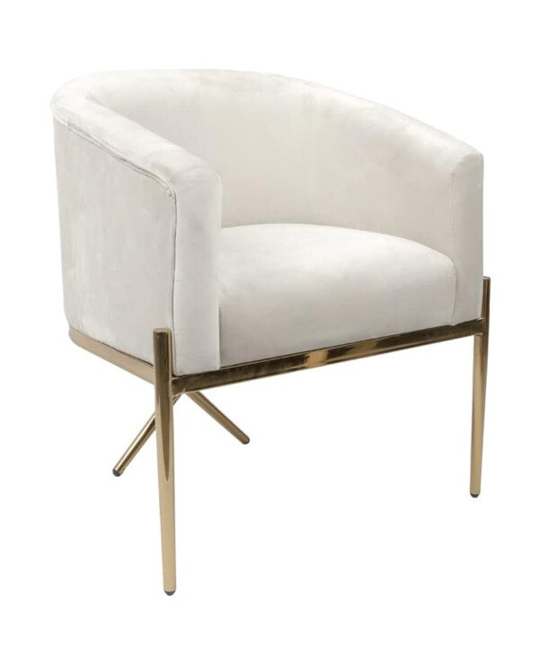 Milliard Arm Chair for Living Room and Dining Room with Upholstered Easy Clean Velvet and X Shaped Gold Legs, Ivory chinaatoday