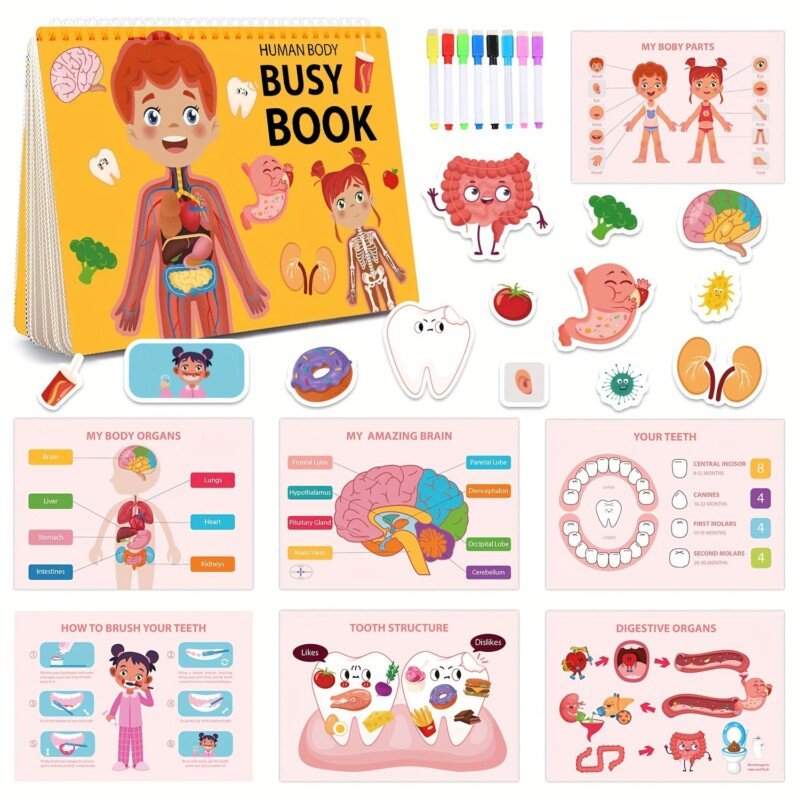 Montessori Human Anatomy Busy Book for Kids