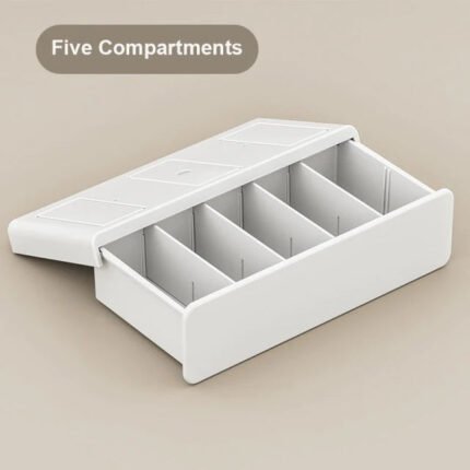 Underwear Storage Drawer Slid Out Home Organization 5/10 Compartment - BEJUSTSIMPLE