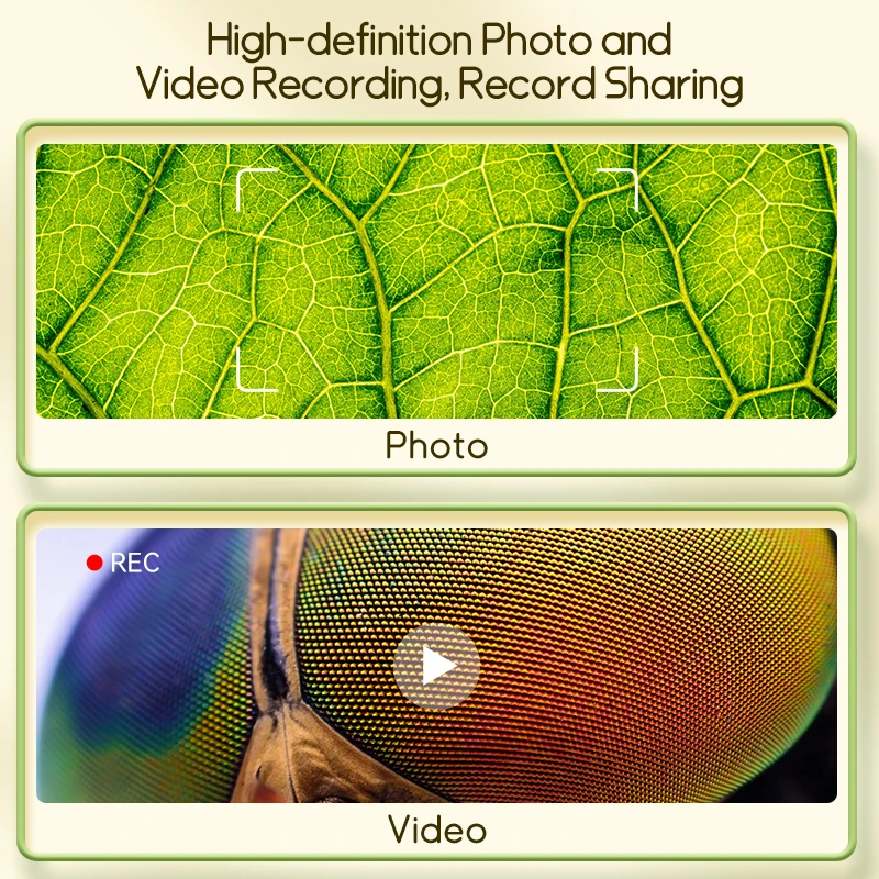 kf-sfd0b903cd1814c8aabf42abec59ee88dh